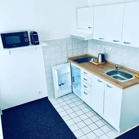 Bryksova Apartment
